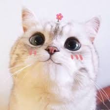 Kainat Imtiaz avatar